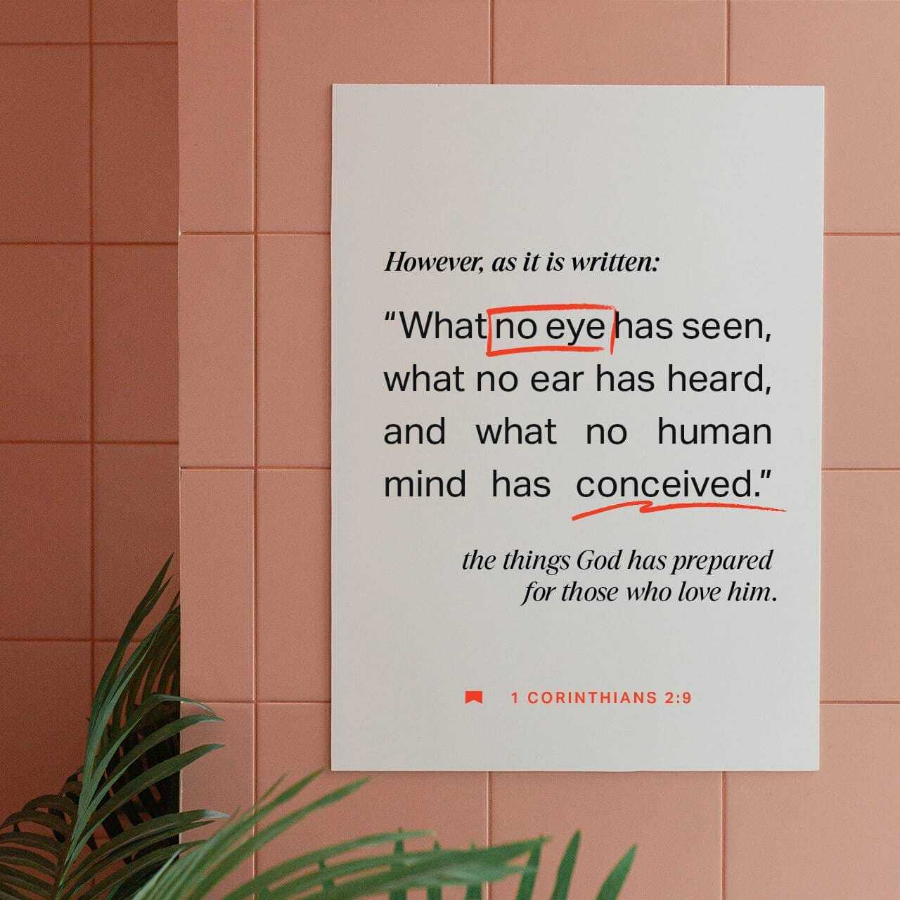 Spirit-Led Wisdom in a Noisy World