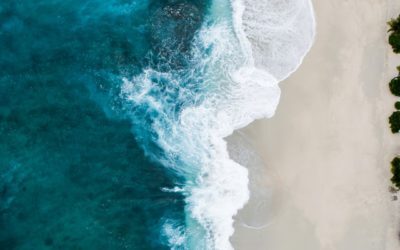 Daily Thought – Sea in front divided
