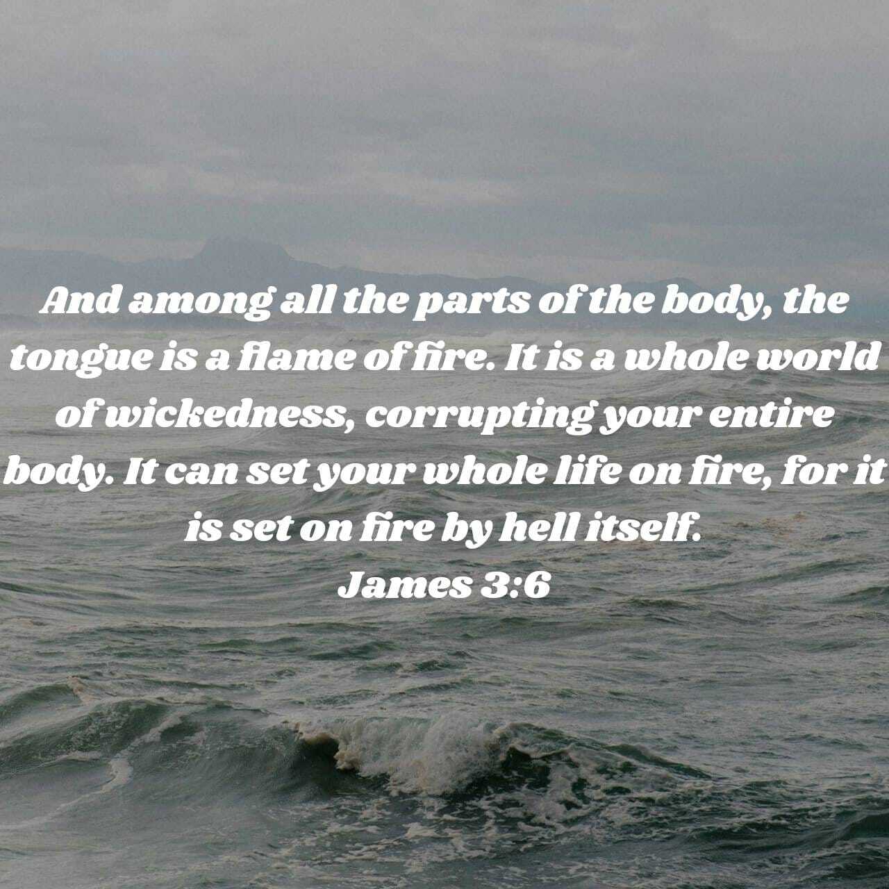 Master the Tongue, Guard the Life