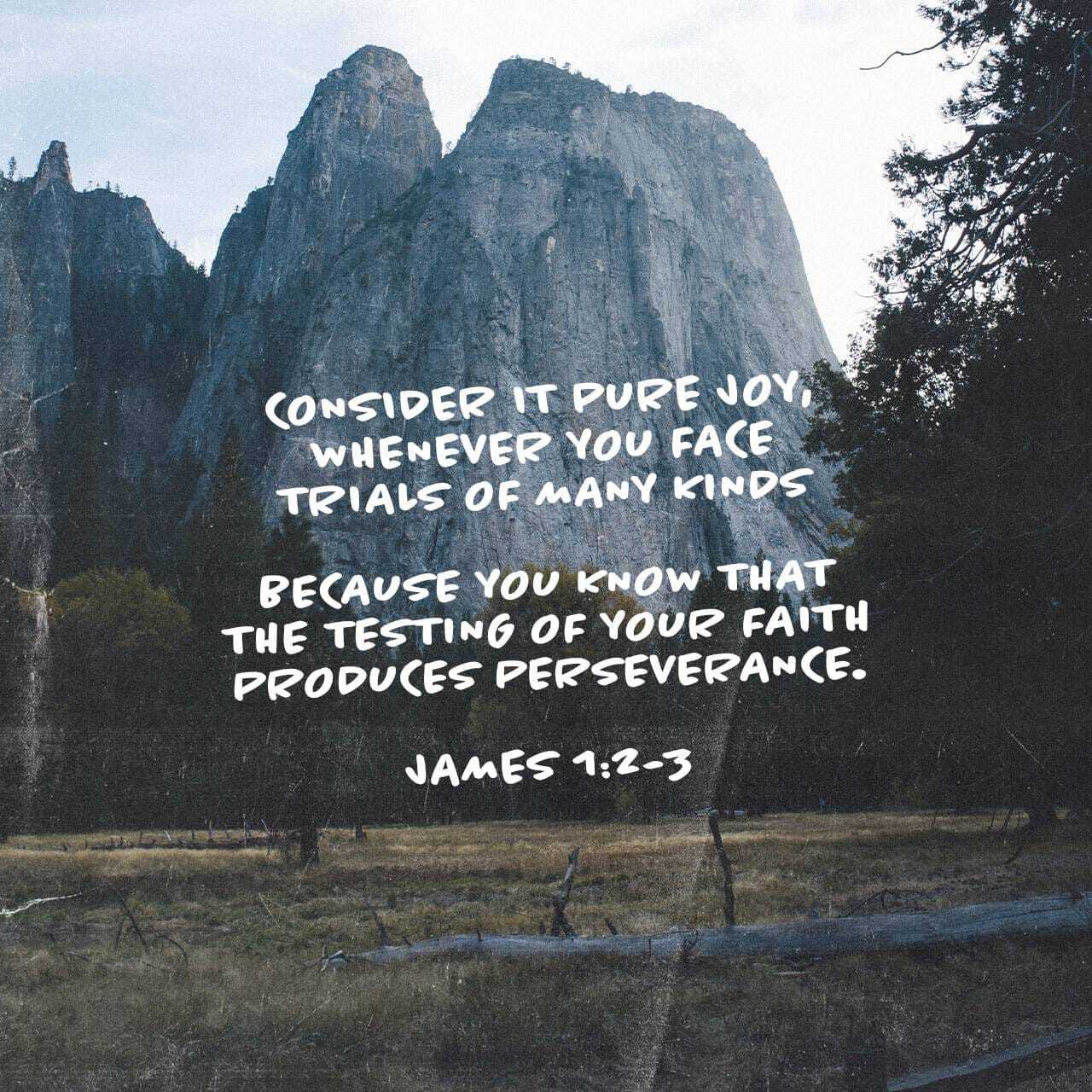 Faith Under Fire: Living Steady in Trials