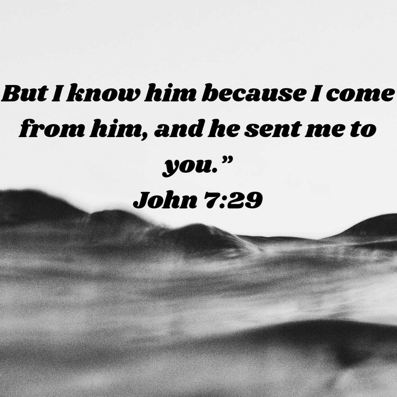 When You Can’t Find Jesus