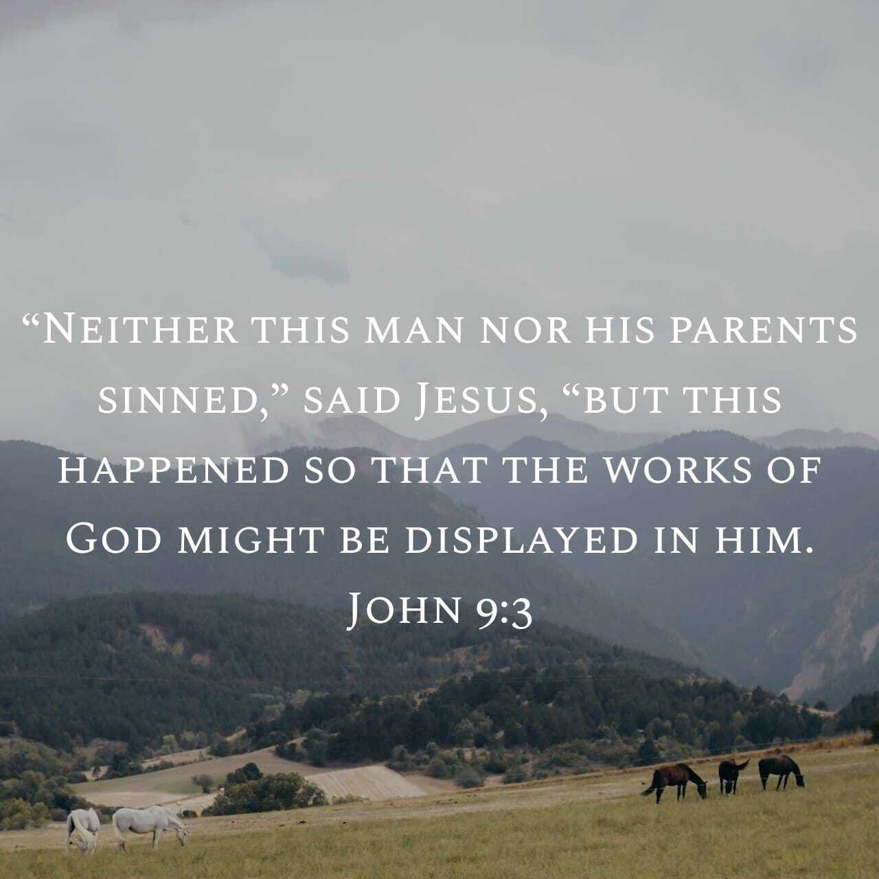 From Blindness to Belief – Seeing Through God’s Eyes