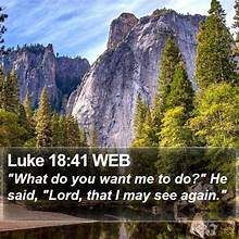 Question Answer Series [42]: “What do you want me to do for you?” [Jesus Asked]