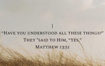 Have You Understood All These Things?