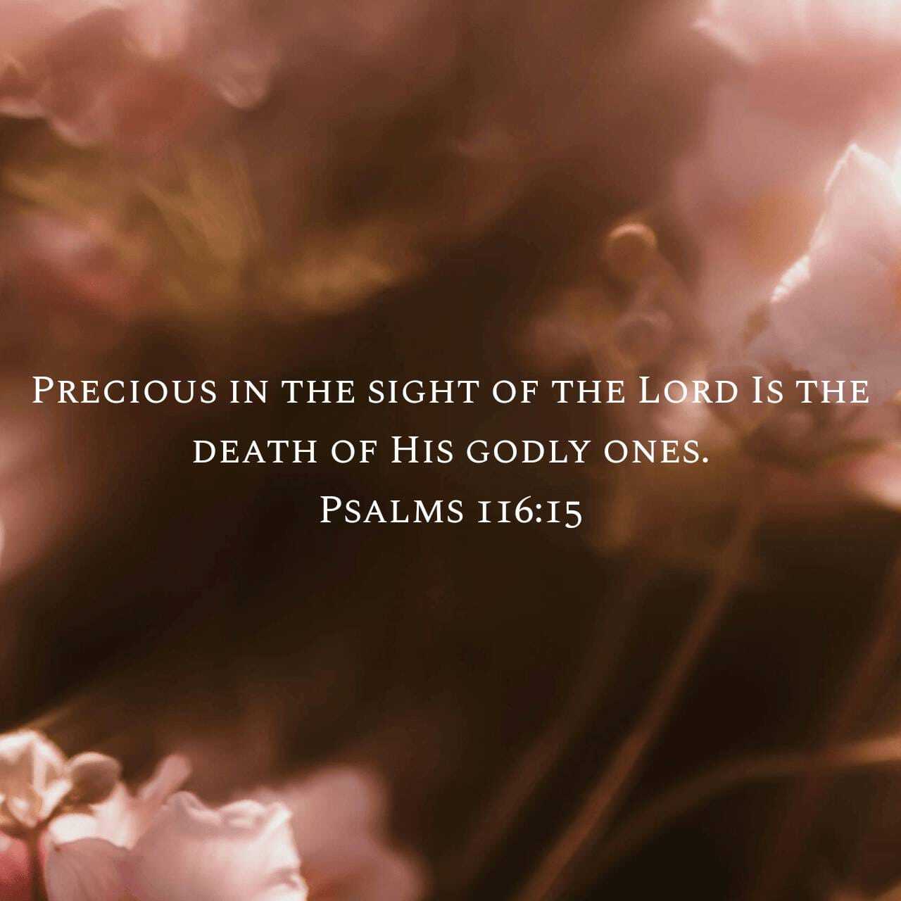 The death of Moses was Precious to God