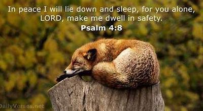 Question Answer Series[64]: Can we really sleep in peace ?