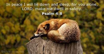 Question Answer Series[64]: Can we really sleep in peace ?