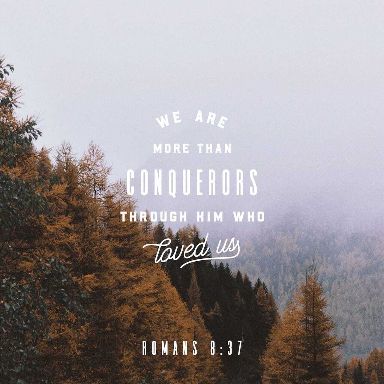 From Suffering to Glory: More Than Conquerors in Christ