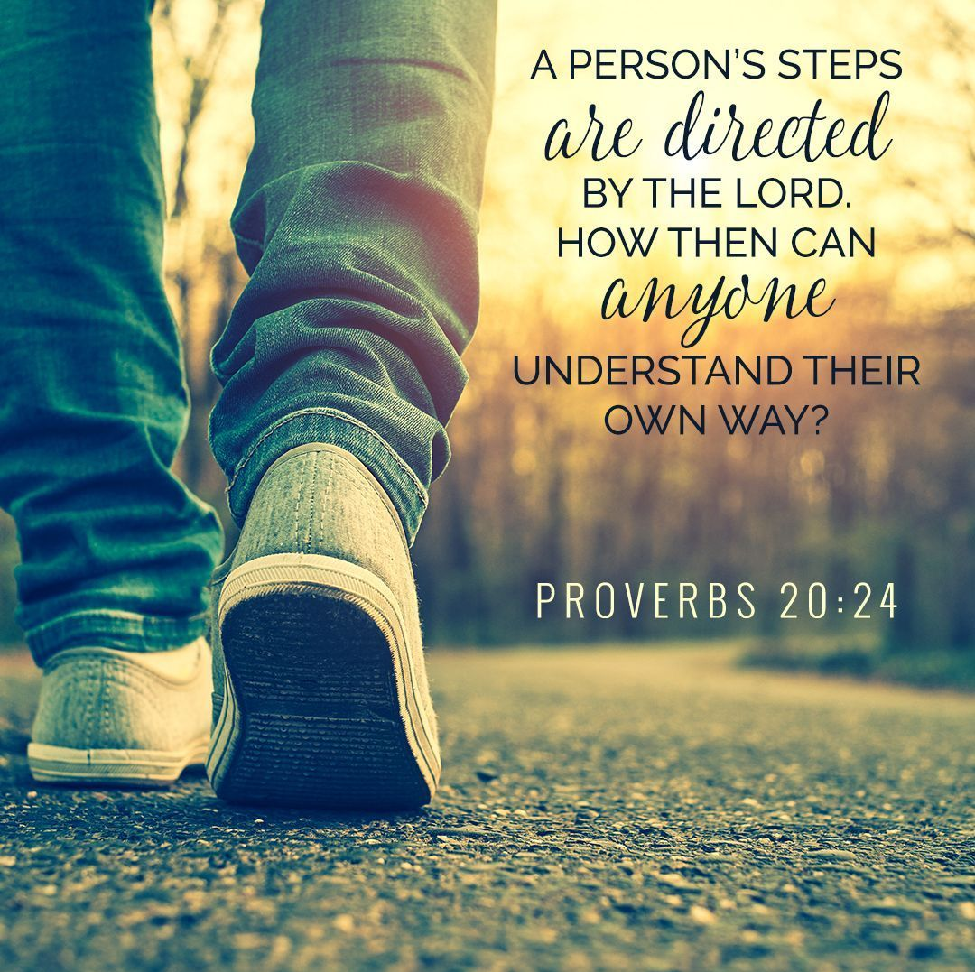 Embracing Divine Guidance in your way < Proverbs 20:24 >