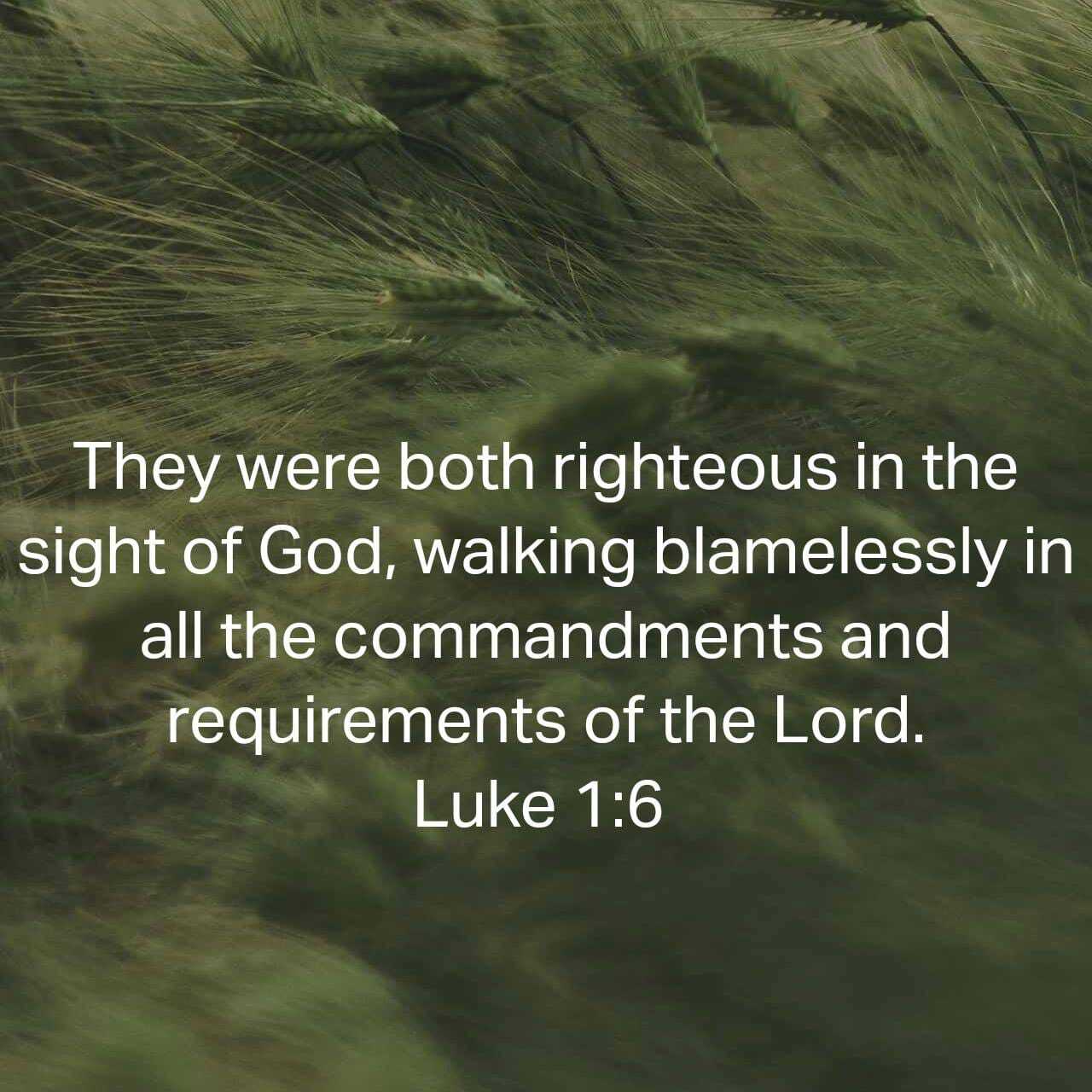 Extraordinary Women Of God[6] : Elizabeth Blameless In Pain
