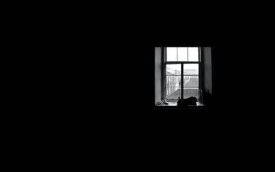 Songs in the "Night"