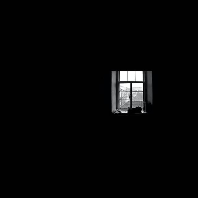 Songs in the "Night"