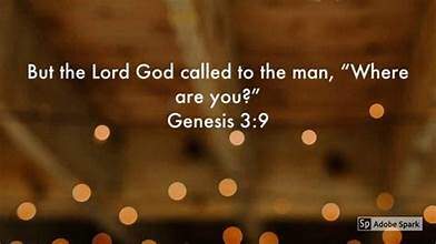 Question Answer Series [63]: What does it mean to the Lord when we fall?