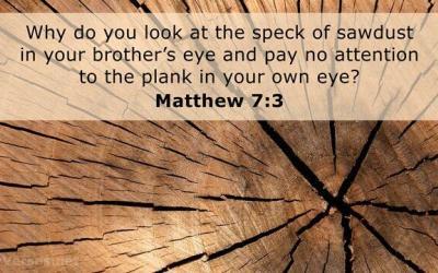 Question Jesus Asked[11]: Why do you see the speck that is in your brother’s eye, but do not notice the log that is in your own eye?