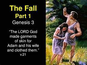 Question Answer Series[84]: How Do We Fall into Sin? 
