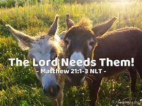 Question Answer Series [17]: When the Lord needs ,, ?